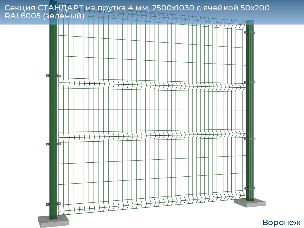 Секция СТАНДАРТ из прутка 4 мм, 2500x1030 с ячейкой 50х200 RAL6005 (зеленый), voronezh.doorhan.ru