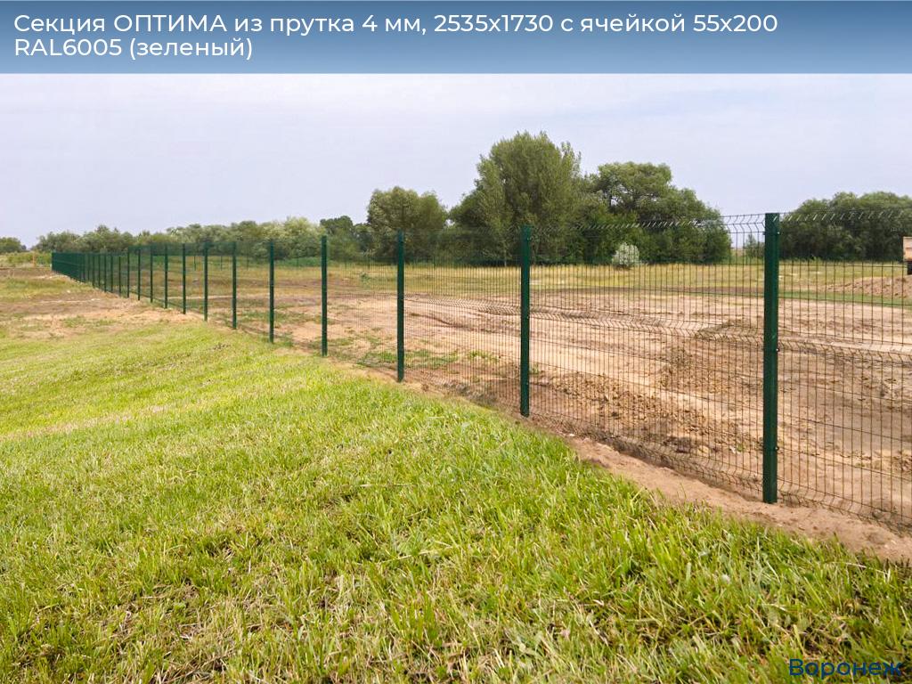 Секция ОПТИМА из прутка 4 мм, 2535x1730 с ячейкой 55х200 RAL6005 (зеленый), voronezh.doorhan.ru