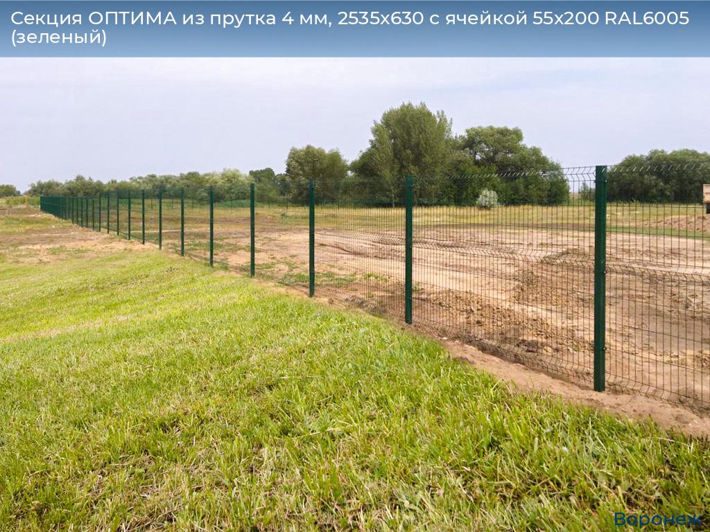 Секция ОПТИМА из прутка 4 мм, 2535x630 с ячейкой 55х200 RAL6005 (зеленый), voronezh.doorhan.ru
