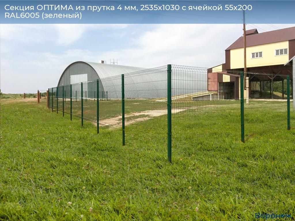 Секция ОПТИМА из прутка 4 мм, 2535x1030 с ячейкой 55х200 RAL6005 (зеленый), voronezh.doorhan.ru