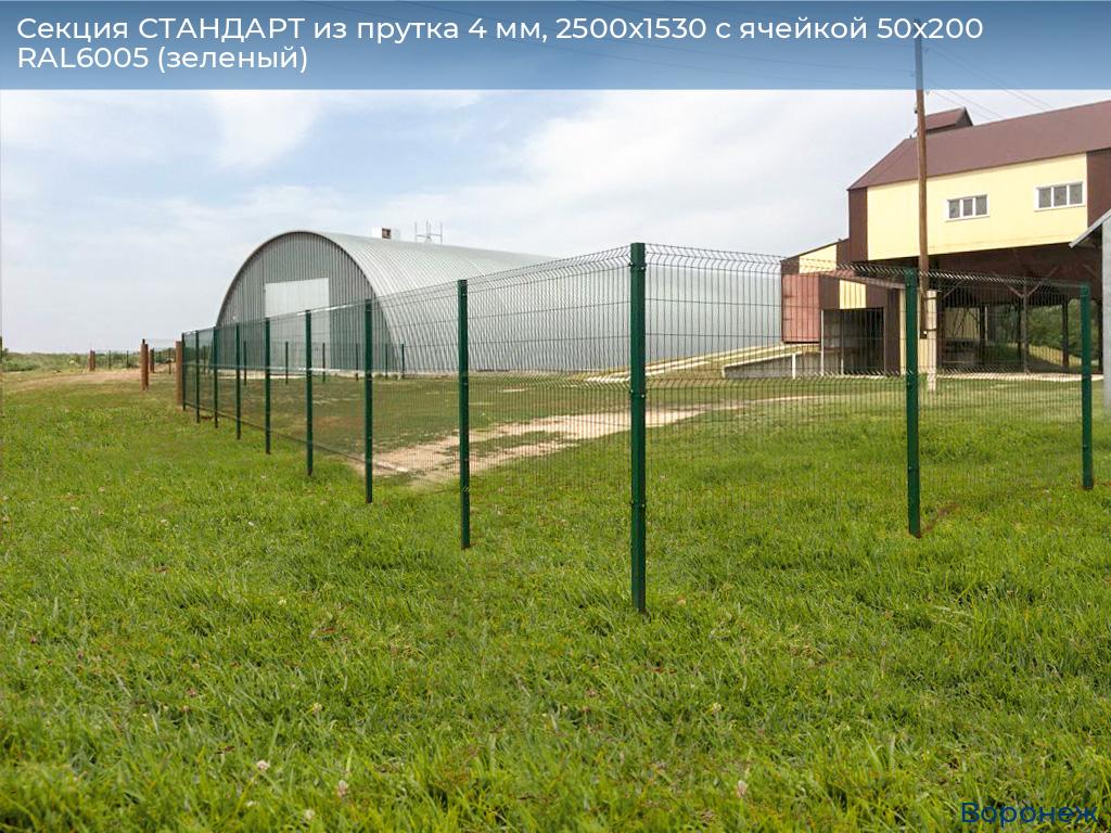 Секция СТАНДАРТ из прутка 4 мм, 2500x1530 с ячейкой 50х200 RAL6005 (зеленый), voronezh.doorhan.ru