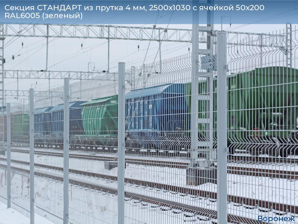 Секция СТАНДАРТ из прутка 4 мм, 2500x1030 с ячейкой 50х200 RAL6005 (зеленый), voronezh.doorhan.ru