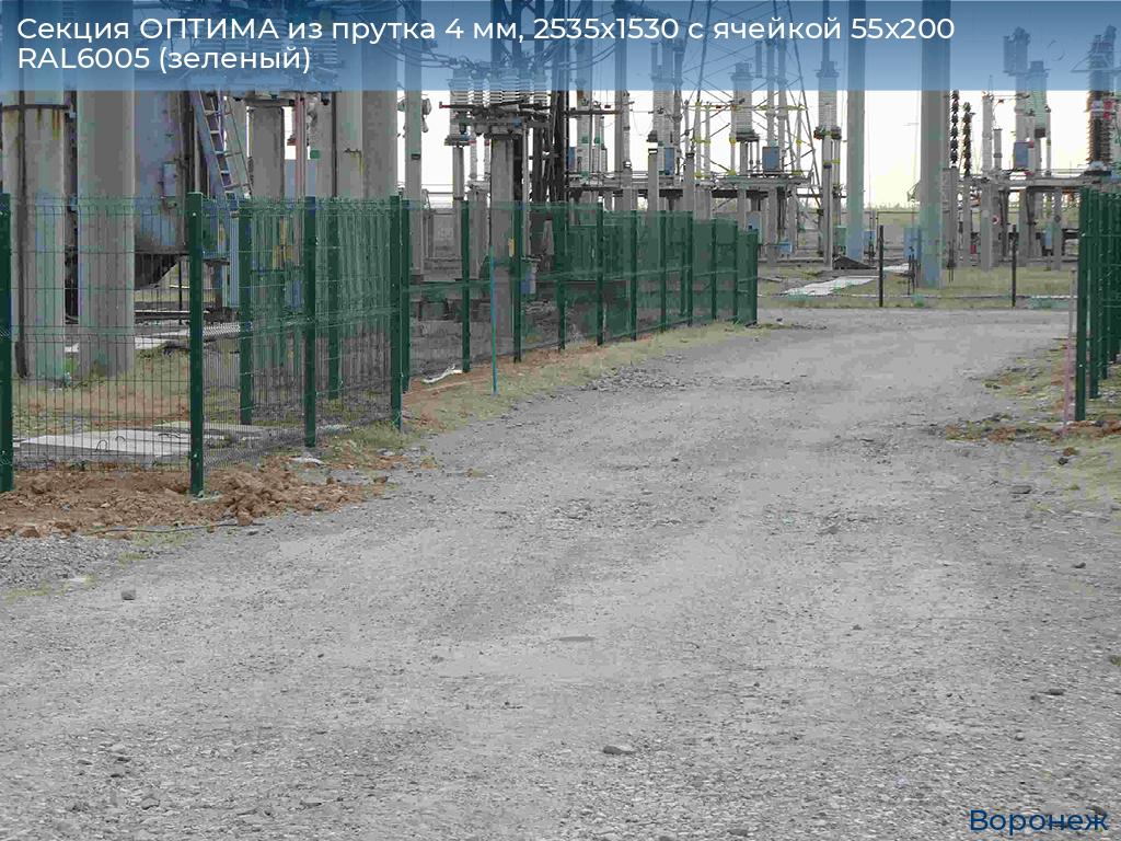 Секция ОПТИМА из прутка 4 мм, 2535x1530 с ячейкой 55х200 RAL6005 (зеленый), voronezh.doorhan.ru