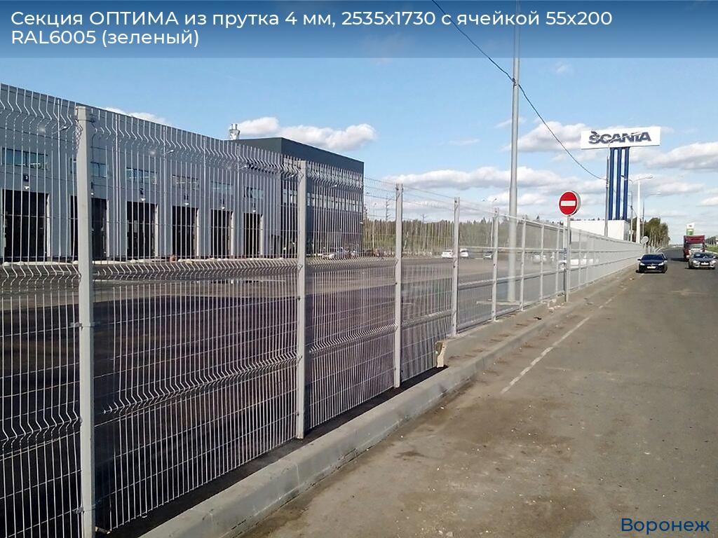 Секция ОПТИМА из прутка 4 мм, 2535x1730 с ячейкой 55х200 RAL6005 (зеленый), voronezh.doorhan.ru