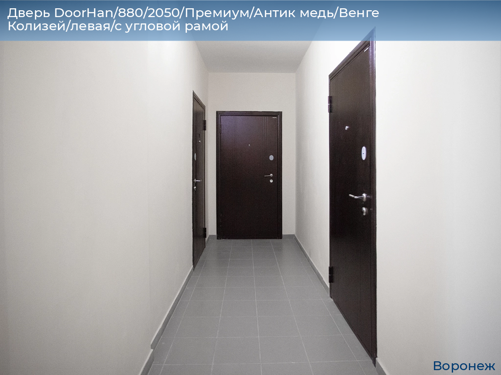 Дверь DoorHan/880/2050/Премиум/Антик медь/Венге Колизей/левая/с угловой рамой, voronezh.doorhan.ru