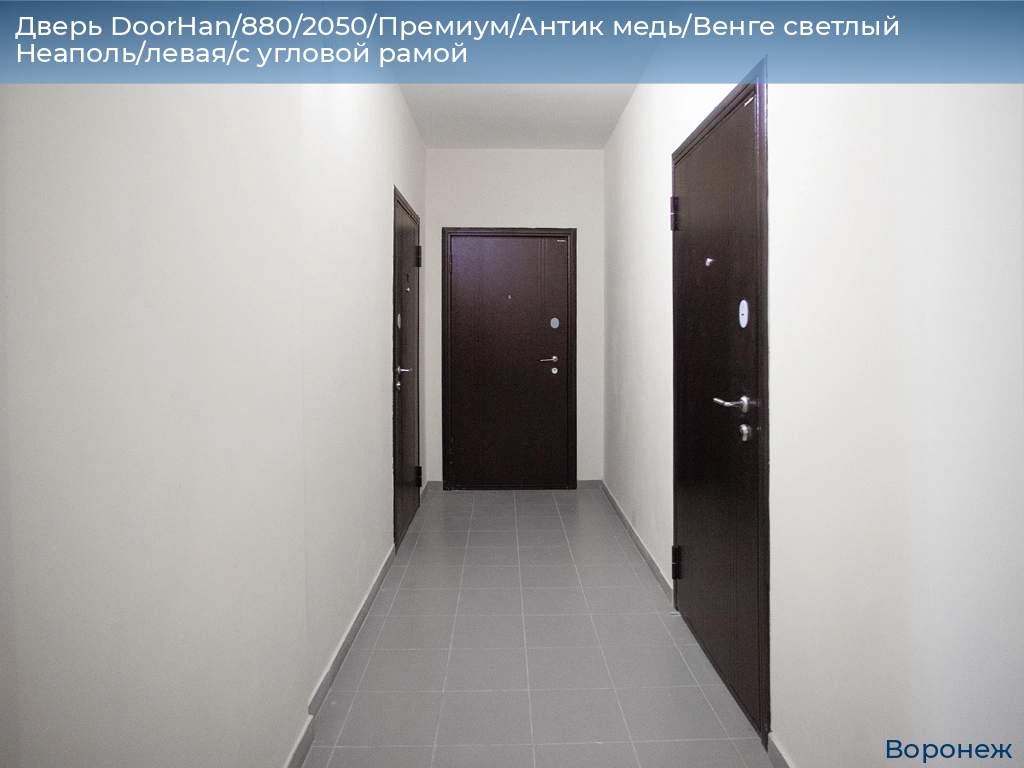 Дверь DoorHan/880/2050/Премиум/Антик медь/Венге светлый Неаполь/левая/с угловой рамой, voronezh.doorhan.ru