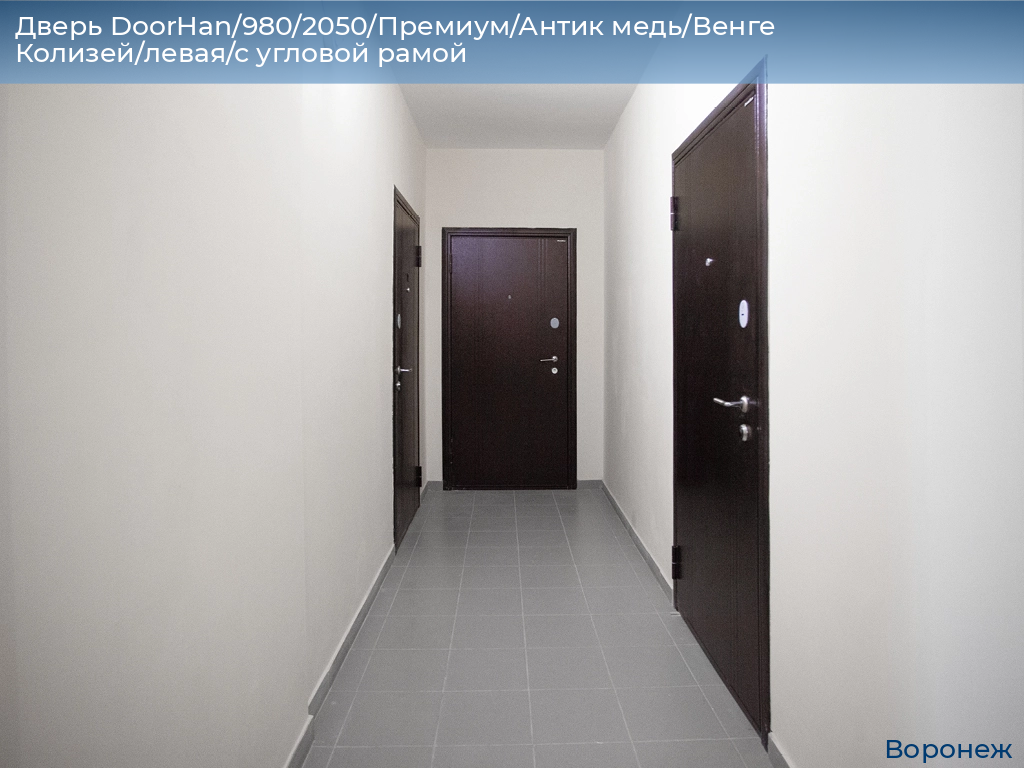 Дверь DoorHan/980/2050/Премиум/Антик медь/Венге Колизей/левая/с угловой рамой, voronezh.doorhan.ru