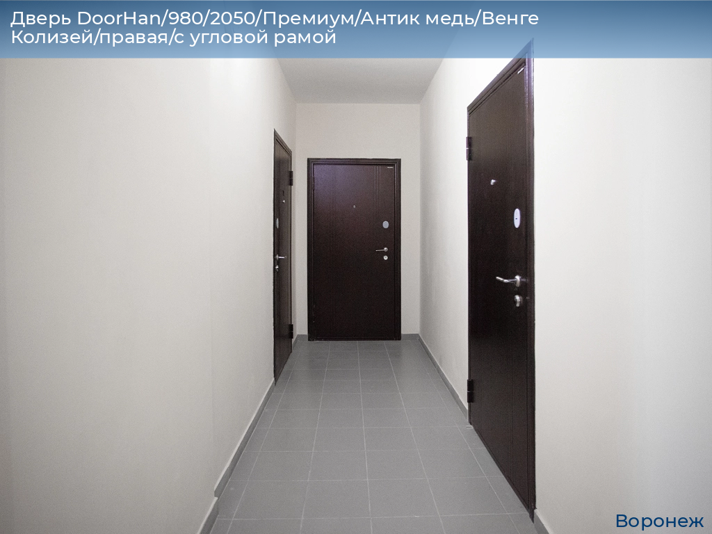 Дверь DoorHan/980/2050/Премиум/Антик медь/Венге Колизей/правая/с угловой рамой, voronezh.doorhan.ru