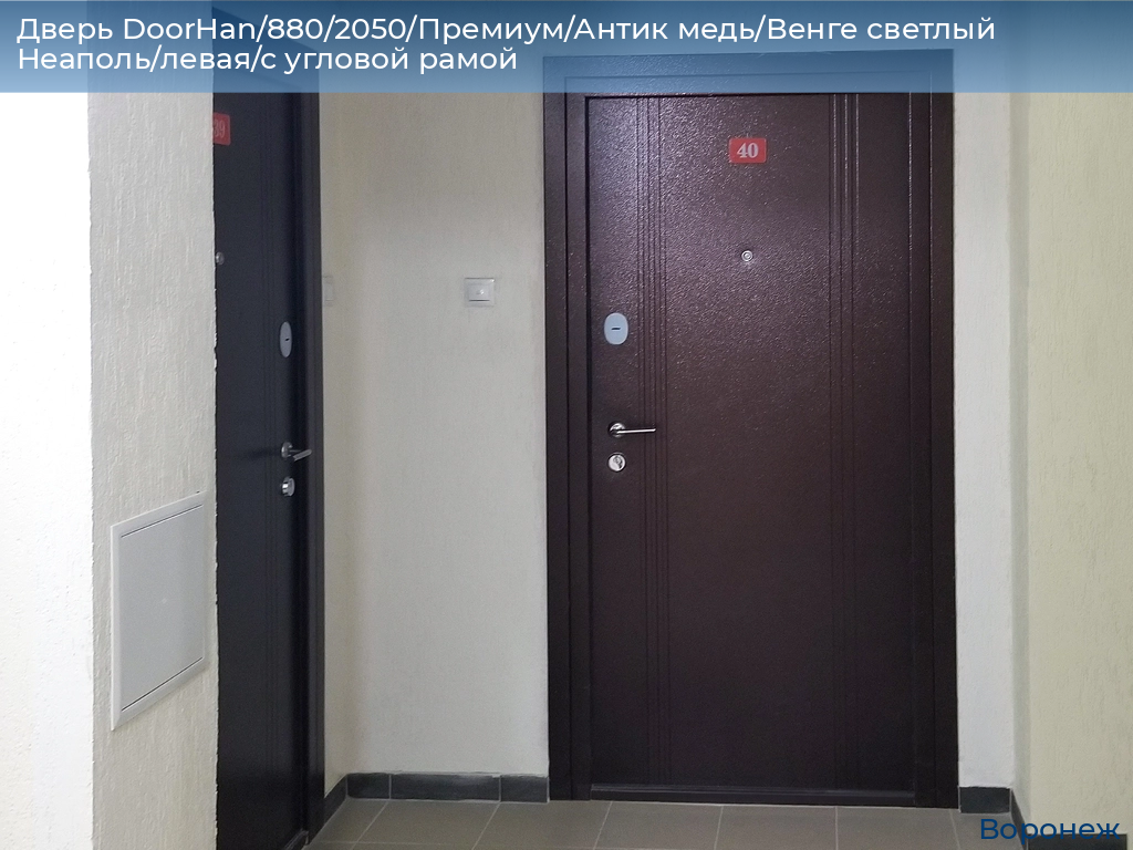Дверь DoorHan/880/2050/Премиум/Антик медь/Венге светлый Неаполь/левая/с угловой рамой, voronezh.doorhan.ru