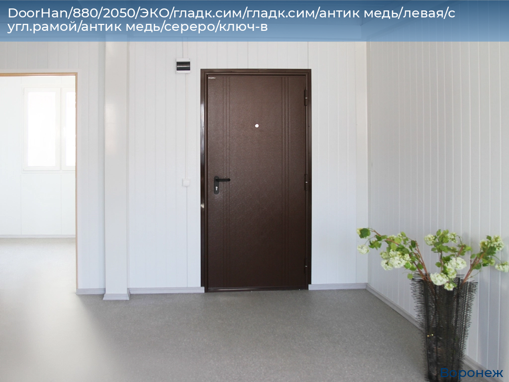 DoorHan/880/2050/ЭКО/гладк.сим/гладк.сим/антик медь/левая/с угл.рамой/антик медь/сереро/ключ-в, voronezh.doorhan.ru