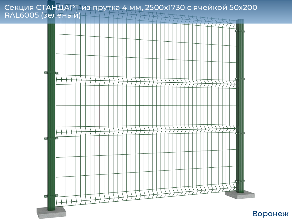 Секция СТАНДАРТ из прутка 4 мм, 2500x1730 с ячейкой 50х200 RAL6005 (зеленый) , voronezh.doorhan.ru