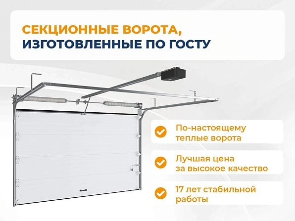 Cекционные ворота 3400х2600 мм коричнево-красные DoorHan RSD02, voronezh.doorhan.ru